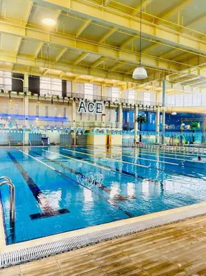 a large swimming pool with ducks in the water at Budget Accommodation at Ace Suites by the Famous Indoor Water Spa in Manila