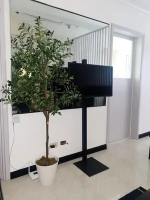 a room with a tv and a potted tree in front of a mirror at A-South of Market SOMA in Manila
