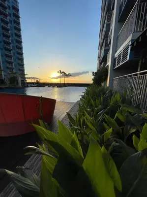 a group of plants in front of some buildings at Luxury 1 Bedroom across Okada II Balcony w View in Manila