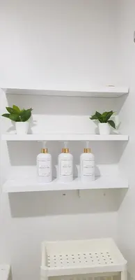 a shelf with three bottles ofodorizers and two plants at House of Bangtan at Grace Residences, Taguig in Manila