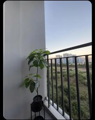 a plant in a pot sitting on a balcony at JL shore Staycation in Manila