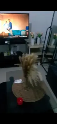 a blurry picture of a person in a living room at Fiona Apartment in Manila