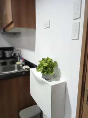 a plant sitting on top of a white cabinet in a kitchen at El Aris Lushly Inn in Manila