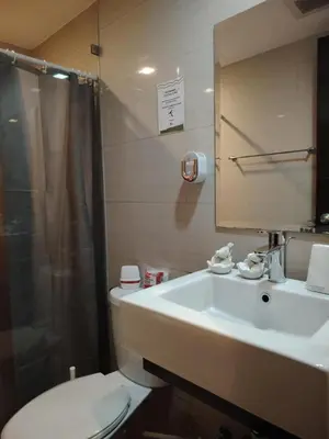 a bathroom with a sink and a toilet and a shower at Owls and Larks BnB 300mbps WiFi, Netflix, Coffee in Manila