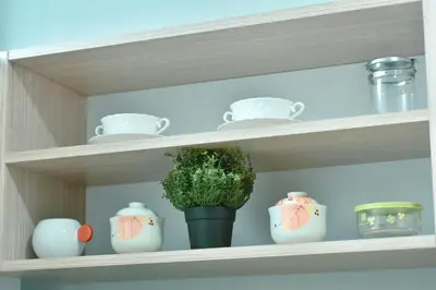 a shelf with a vase with a plant in it at Studio City Alabang Pool Access Free for 2 Wifi & Netflix SC3 in Manila