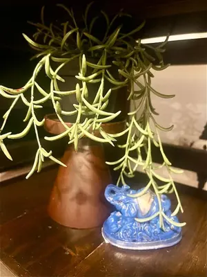 a plant in a blue vase on a table at Bali Inspired near BGC and NAIA in Manila