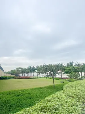 a tree in the middle of a green field at Luxury 2BR Corner near Solaire & Okada II Sunset in Manila