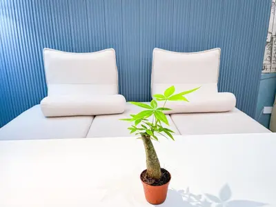 a plant sitting on a table next to two beds at Luxury Penthouse near Solaire, City of Dreams in Manila