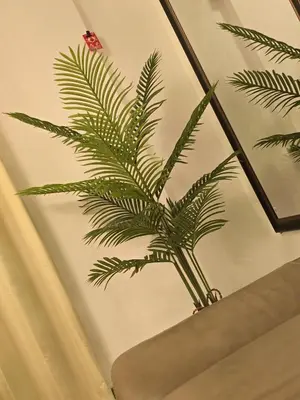a green plant sitting on top of a table at The Imperium Luxury Condominium in Manila