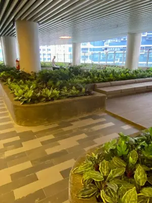 a greenhouse filled with green plants in a building at Air Residence Luxury condo in Manila