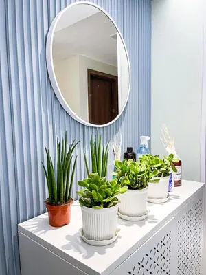 a bathroom with four plants on a vanity with a mirror at Lovely Penthouse across City of Dreams, Airport in Manila