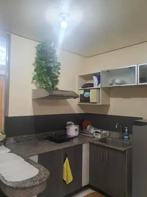 a kitchen with a sink and a plant on the counter at Birch Tower Condominium Malate Manila by T&T in Manila