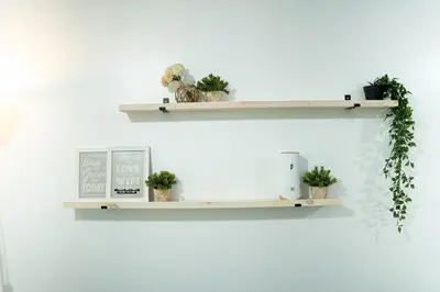 a shelf with potted plants on a white wall at Makati Condo Near Airport & Greenbelt in Manila