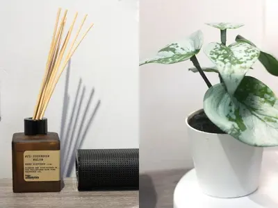 a plant in a vase next to a bottle of oil at NEW! Beautiful Studio in Greenbelt Makati in Manila