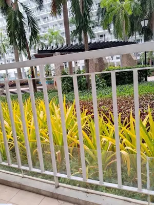 a white fence with yellow plants behind it at Kys 4 staycation mall of asia in Manila