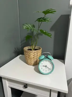 a clock sitting on a table with a potted plant at Studio condo near Pobla Makati in Manila