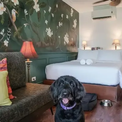 MiraNamin Nest CALACHUCHI - Cozy Room in Historic Home - Indoor Plunge Pool