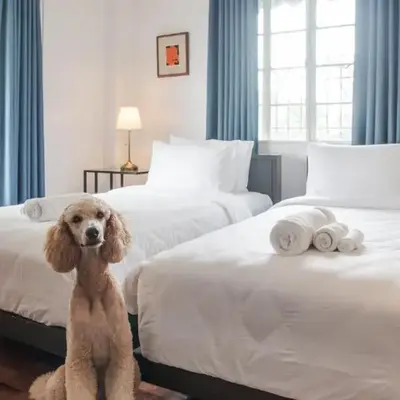 MiraNamin Nest KAMANTIGI - Two Bed Suite in Historic Home with Luxury Indoor Plunge Pool