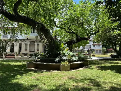 a large tree in front of a white house at MiraNamin Nest LIRYO - Family Suite in Unique Historic Home with Indoor Plunge Pool, Garden Access, Self-Service Breakfast, Guest Kitchen in Manila
