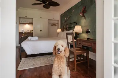 a dog sitting in a bedroom with a bed at MiraNamin SAMPAGUITA - Two Bedroom Suite in Historic Home with Indoor Plunge Pool, Self-Service Breakfast, Garden View, Pet-Friendly in Manila