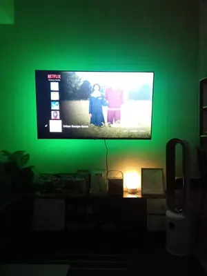 a green wall with a television with two people on it at Urban Metro Escape in Pasig City in Manila