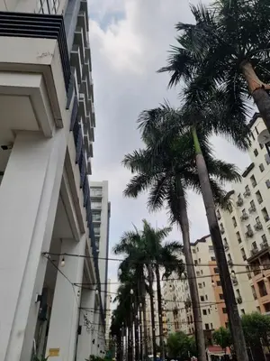 a row of palm trees in a city with buildings at One Palm Tree Villas in Manila