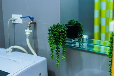 a green plant sitting on a shelf in a bathroom at Secret Makati Love Haven Swim Gym Park Laugh 300MB in Manila
