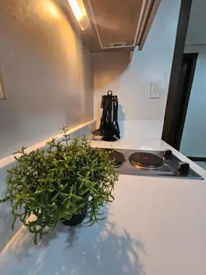 a potted plant sitting on a counter next to a stove at Air Residences Makati Sage Haven in Manila