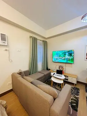 a living room with a couch and a tv at The Tropical Suite SMDC Hope Residence in Trece Martires