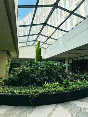 a building with a garden in the middle of a building at We Vibe, 81 Newport Blvd across NAIA 3 in Manila