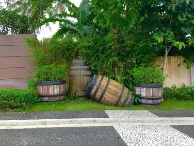 three barrels with plants in them next to a wall at Mondavi II Condo Unit 306 in Silang