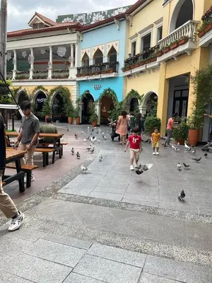 a group of people feeding pigeons in a courtyard at Mc Kinley Home Away from Home in Manila