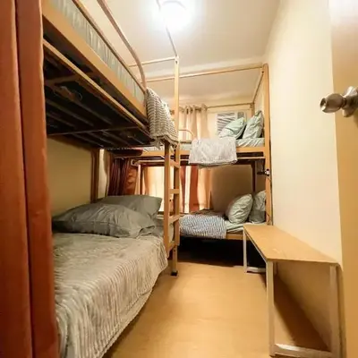 Jungle Hostel 1062