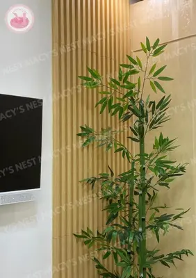 a green plant in a room with a curtain at Shore 2 Tower 1 - Macy's Nest - Near MOA in Manila