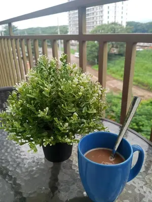 a cup of coffee and a potted plant on a table at AA Cozy Comfort in Nuvali in Calamba