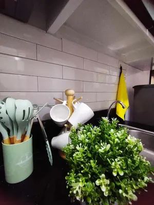 a kitchen counter with a sink with a green plant at Stylish Getaway in the Heart of the City - Mall of Asia in Manila