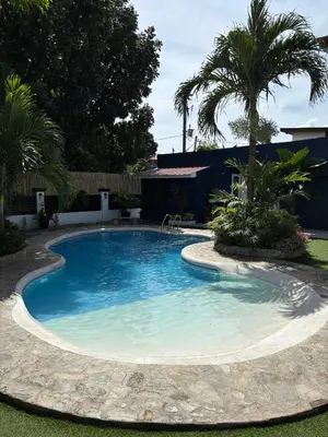 a swimming pool with a palm tree in a yard at The Barkly House Staycation in Biñan