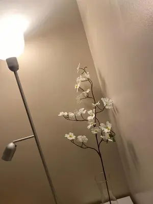 a vase filled with white flowers next to a lamp at studio flat at 101 Newport Boulevard in Manila