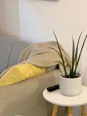a plant sitting on a table next to a couch at Sea Residences 2BR Pool View Unit for 4-8 pax - Beehive Stay MOA in Manila