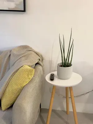 a table with a plant on it next to a couch at Sea Residences 2BR Pool View Unit for 4-8 pax - Beehive Stay MOA in Manila