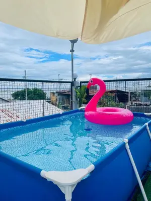a swimming pool with a pink swan in the water at Binangonan Primes Tiny Home with FREE breakfast and Plunge Pool in Binangonan