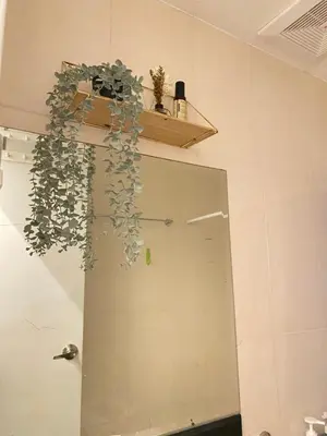 a plant hanging over a door in a bathroom at JL Suite Staycation near Venice Grand Canal Mall in Manila