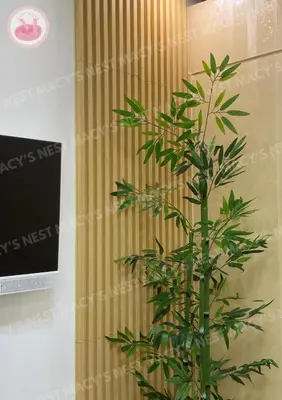 a green plant in a room with a curtain at Macy's Nest - Shore 2 Tower 1 in Manila