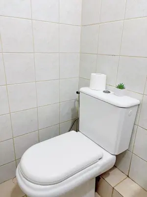 a white toilet with a plant on top of it at Cozy 2BR Condo Free Pool Access in Manila