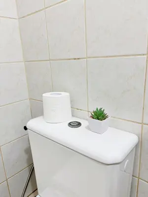 a toilet with a roll of toilet paper and a plant on it at Cozy 2BR Condo Free Pool Access in Manila