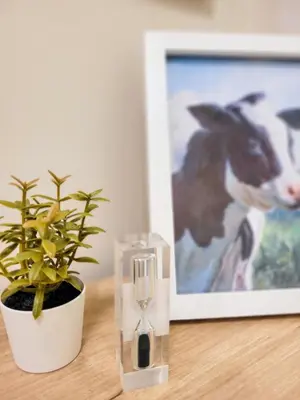 a plant sitting on a table next to a picture at An-Dy's Point, Field Residences in Manila