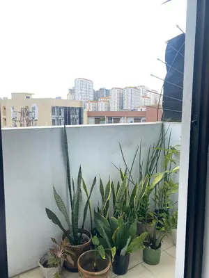 a group of potted plants on a balcony at Ohana buenbyahe affordable staycation at F RESIDENCEs near at mrt shaw megamall and starmall in Manila
