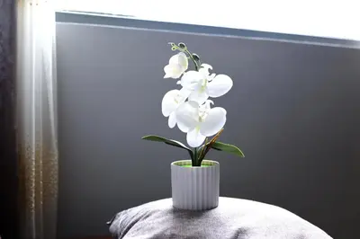 a white vase with white flowers on a table at 2BR Condotel Ridgewood Tower Taguig in Manila