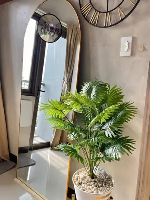 a mirror and a potted plant in a room at Sonens Hem S Residences in Manila