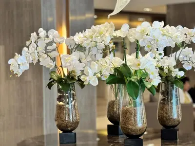four vases filled with white flowers on a table at Shore 3 Residences Room 1659 infront of SM MOA in Manila
